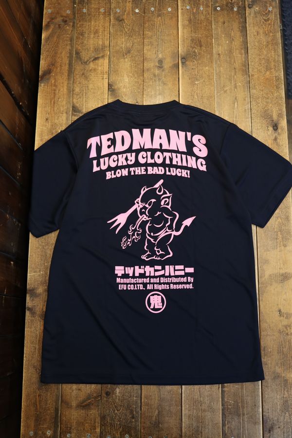 ���վ���TEDMAN���ƥåɥޥ�TDRYT-2500 �ɥ饤�ԥ���ġ��ͥ��ӡ�