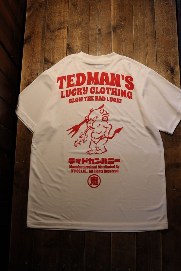 ���վ���TEDMAN���ƥåɥޥ�TDRYT-2500 �ɥ饤�ԥ���ġ��ۥ磻��