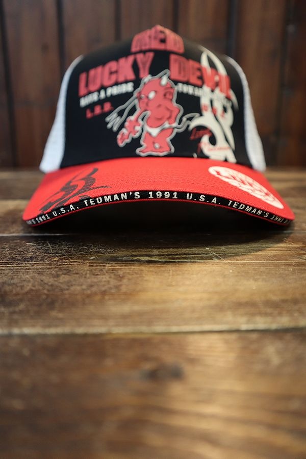 վTEDMANʥƥåɥޥˡTDC-8100ȥ饤Х롡å奭åסå/֥å