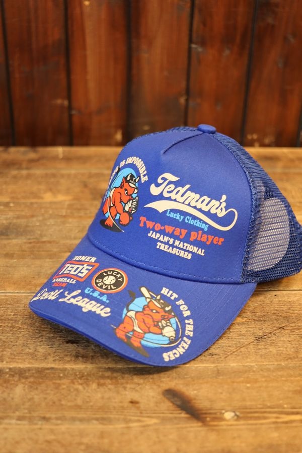 վTEDMANʥƥåɥޥˡTDC-9000ǥӥ꡼å奭åס֥롼