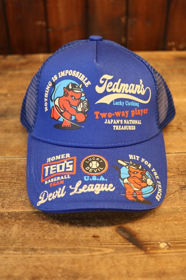 վTEDMANʥƥåɥޥˡTDC-9000ǥӥ꡼å奭åס֥롼