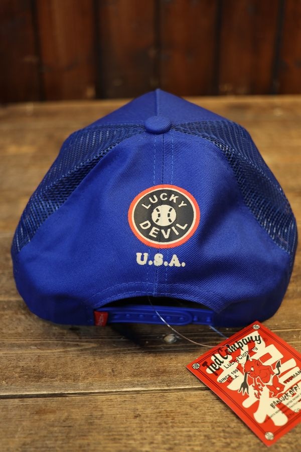 վTEDMANʥƥåɥޥˡTDC-9000ǥӥ꡼å奭åס֥롼