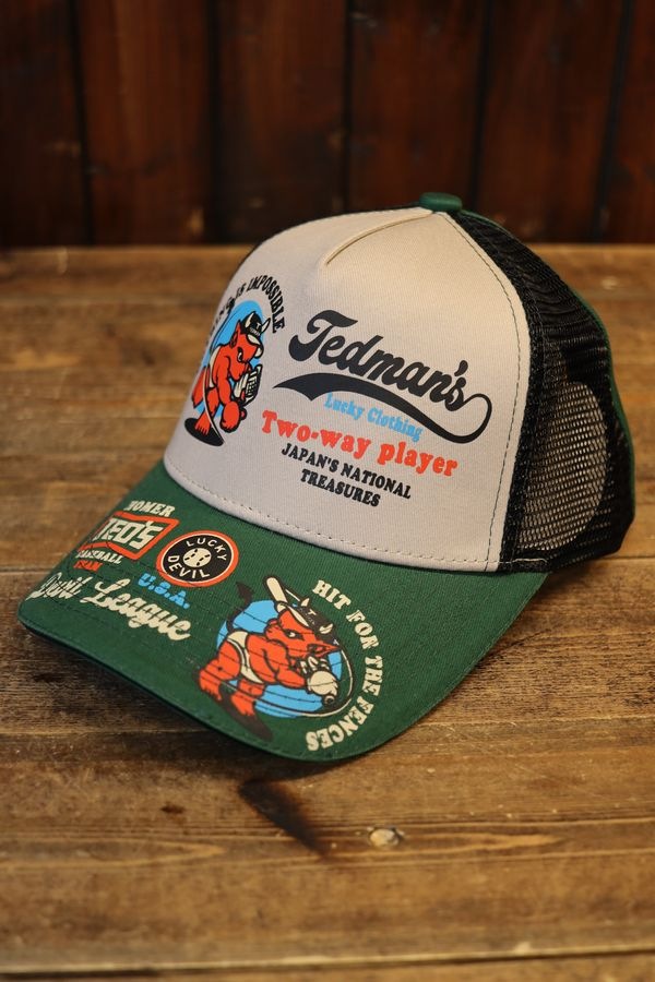 վTEDMANʥƥåɥޥˡTDC-9000ǥӥ꡼å奭åס꡼/١