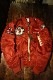 ���վ���TEDCOMPANY �ƥåɥޥ�TL2-190��L-2 JACKET���磻��