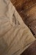 MOONEYES���ࡼ�󥢥�����OMJ-027 MOONEYES �ץ��ƥ������դ���å��奸�㡼�����١�����