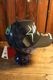 VANSON��KAWASAKI����ܥ졼�����KMV-2605 �ĥ����å��奭��åס�Ǧ�ԡ�NINJA���ɽ����֥�å�
