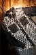 KOJIMA GENES�����祸���󥺡�RNB-2008���ٻζ��� �ɤ��ҥ���ܥ���ĥ��㥱�å�