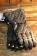 ���ɥ�(KADOYA)��GAUNTLET PADDED������ȥ�åȥѥǥåɡ��ɴ���������