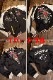 ���վ���TEDMAN�ʥƥåɥޥ�ˡ��ƥåɥ���ѥˡ���TSK-060 ��С����֥륹�������BLACK
