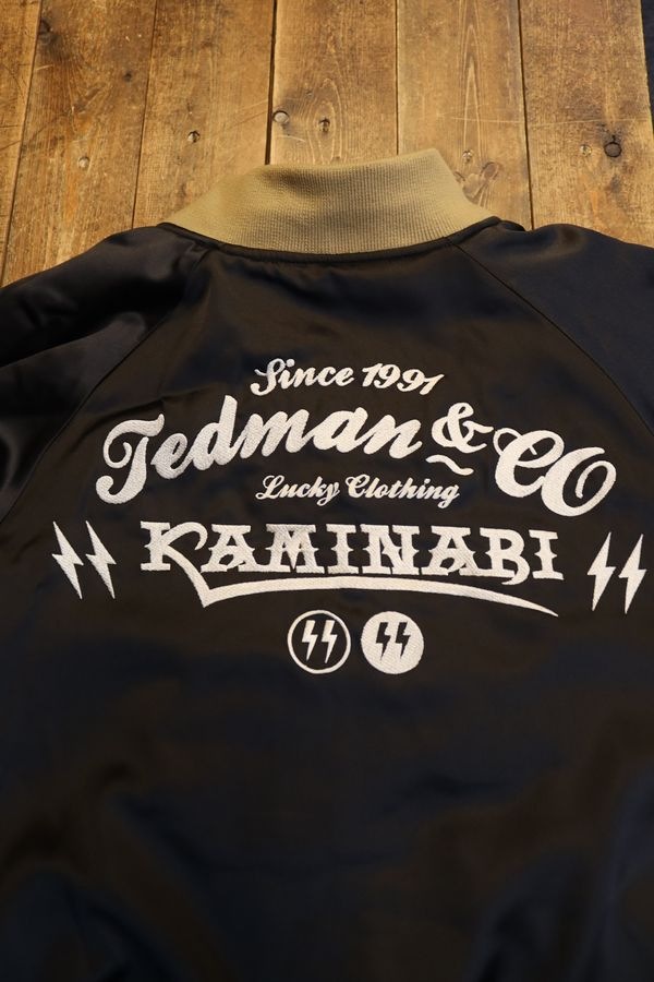 ���վ���TEDMAN�ߥ��ߥʥꡡTKMSK-3000 ��С����֥륹�������BLACK