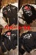 ���վ���TEDMAN�ߥ��ߥʥꡡTKMSK-3000 ��С����֥륹�������BLACK