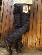 IRON HEART����������ϡ��� 634z 21oz�쥮��顼�ǥ˥� ���ȥ졼��