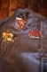 VANSON��Tom and Jerry���ȥ�ȥ����꡼����ܡ�TJV-2221 �졼���Ⱦµ����ġ�G�֥롼