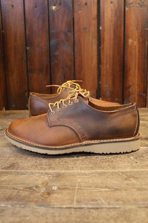 RED WING åɥ󥰡3604 Weekender Oxford  åե åѡ֥աաD磻