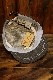 KOJIMA GENES�����祸���󥺡�RNB-985���١����å��������åס�����ǥ����ǥ˥ࡡ������