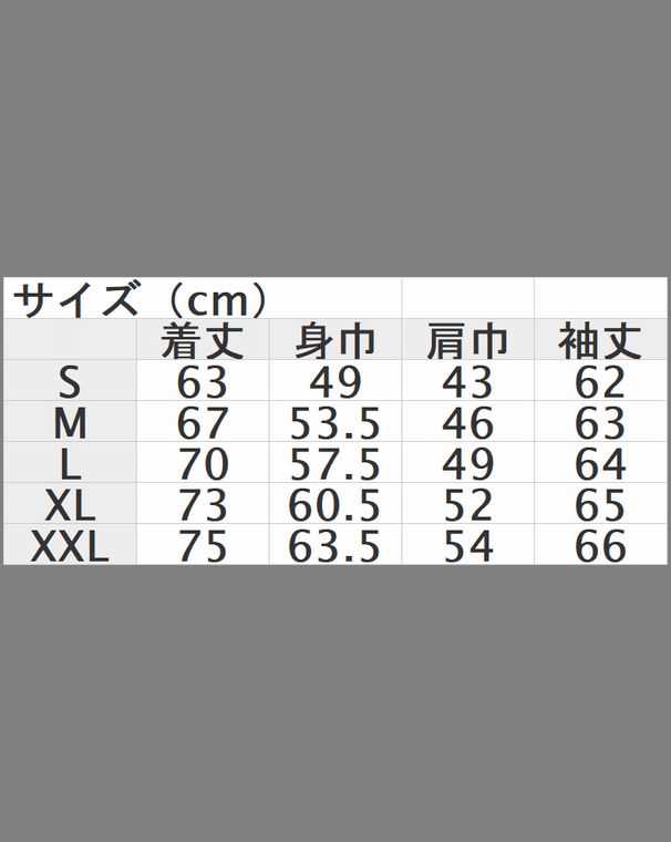 VANSON Х󥽥 NVSZ-2410 ΢ӥץѡ 󥹥֥å