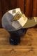 VANSON �Х󥽥�NVCP-2601 �ĥ����å��奭��å� ���꡼�֡ߥʥ�����ߥ��졼