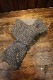 KADOYA�ʥ��ɥ�ˡ�WP WOOL NECK WARMER��WP������ͥå��������ޡ������졼