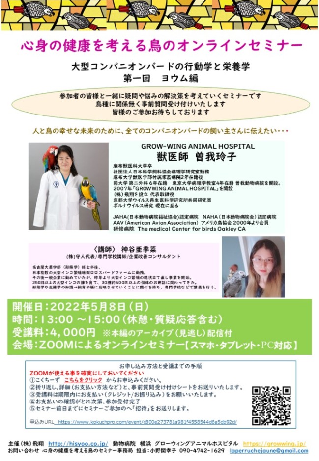 大型コンパニオンバードの行動学と栄養学」 第一回 ヨウム編 【見逃し