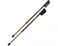 ���󤷤�2�ܾ�2��1��