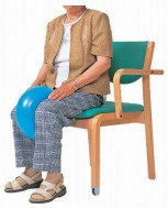 �������Х�󥹥ܡ��� / NH3000����20cm