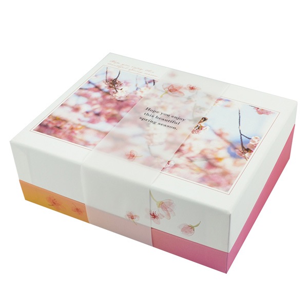 ���ե� E �� (�դ�ˬ��) �ݻ�  535��70����