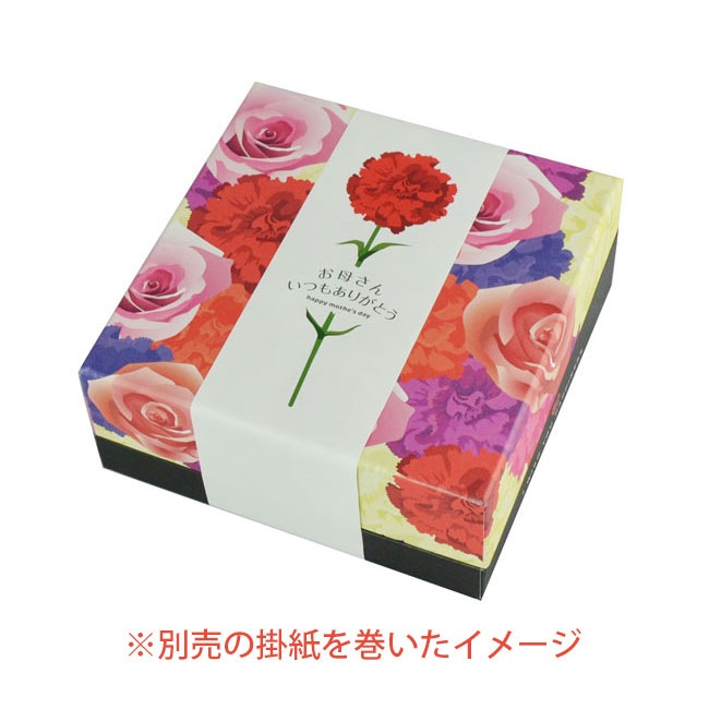 ���ե� C �ե��ܥå���