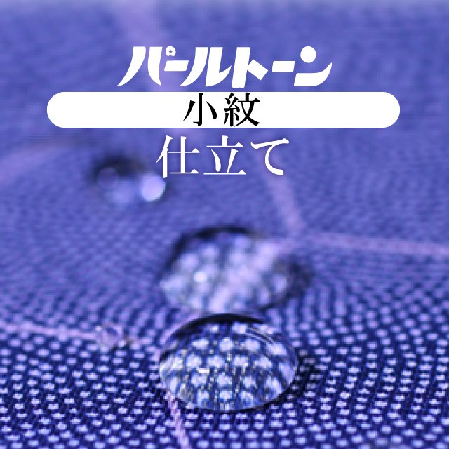 ��SALE��1/13 15������10%OFF���ѡ���ȡ���ù� ����Ω�� ���å� ���� ���� �ɥ��� �����¿� �����ɲù� sin3531pt �ڻ�Ω�ơ� ��ʪ ����