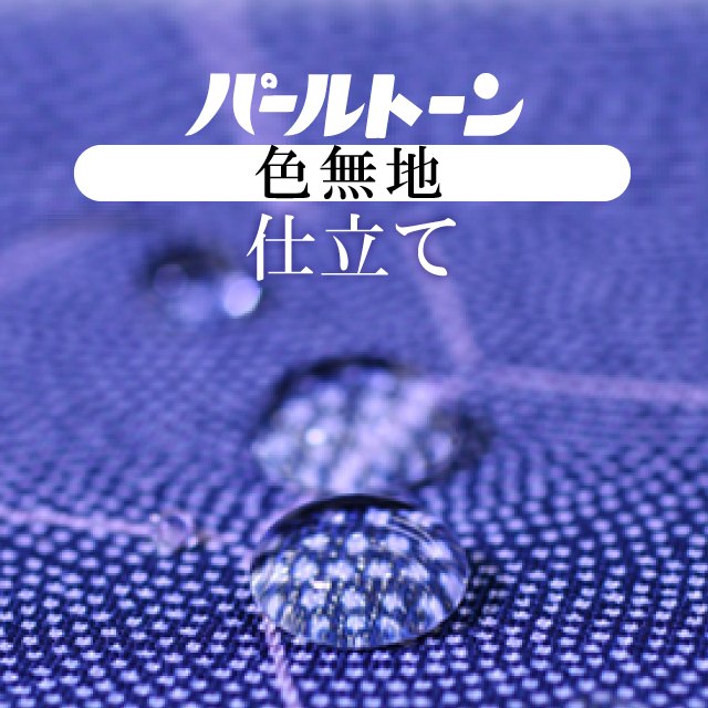 きみ樣専用！パールトーン加工 10％OFF】パールトーン加工 お仕立て セット 色無地 撥水 防カビ