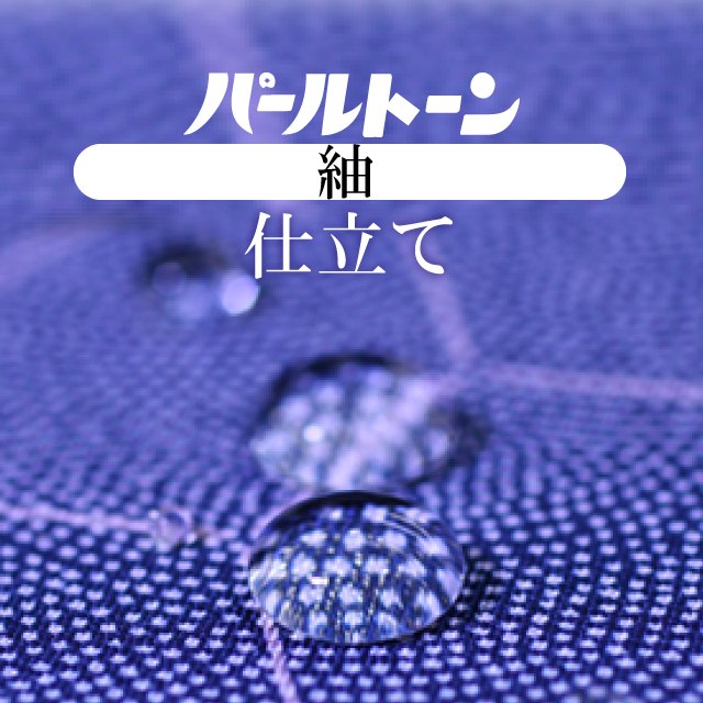 パールトーン加工 お仕立て セット 紬 撥水 防カビ 汚れも安心 ガード加工