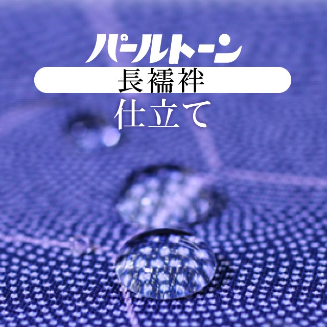 ��SALE��1/13 15������10%OFF���ѡ���ȡ���ù� ����Ω�� ���å� Ĺ��� ���� �ɥ��� �����¿� �����ɲù� sin3536pt �ڻ�Ω�ơ� ��ʪ ����