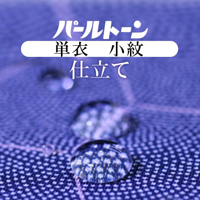パールトーン加工 お仕立て セット 小紋 撥水 防カビ 防汚 パール 