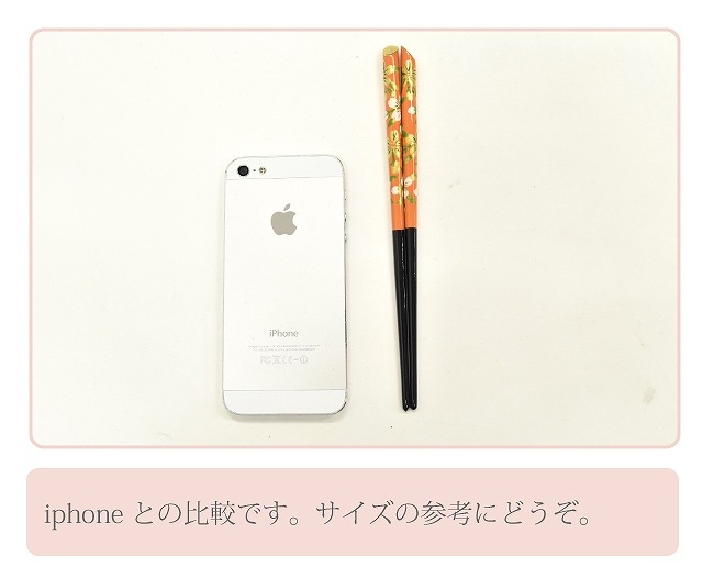 Ohih♡soy　着物一式　小物・かんざし付　音符織柄　定価50万以上 安い正統派古典袴 白/赤 矢絣柄/古典柄 シンプル 清楚 ハイカラ