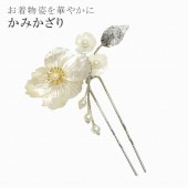  ȱ Ĵ  뺧 ֲ ͼ µ ´ȼ 󤶤  ޻ sin4521-kim ɡ ʪ 