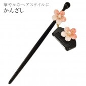  󤶤 ʪ ȱ  ʪ  µ 뺧 ´ȼ    sin4593-kim ɡ ʪ 