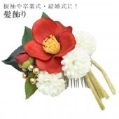 ȱ  إåɥѡ ͼ  뺧 ´ȼ   71630     skb0131-wkb11 ʪ 