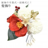 ȱ  إåɥѡ ͼ  뺧 ´ȼ   71625     skb0132-wkb13 ʪ 