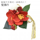 ȱ  إåɥѡ ͼ  뺧 ´ȼ   71626     skb0134-wkb12 ʪ 