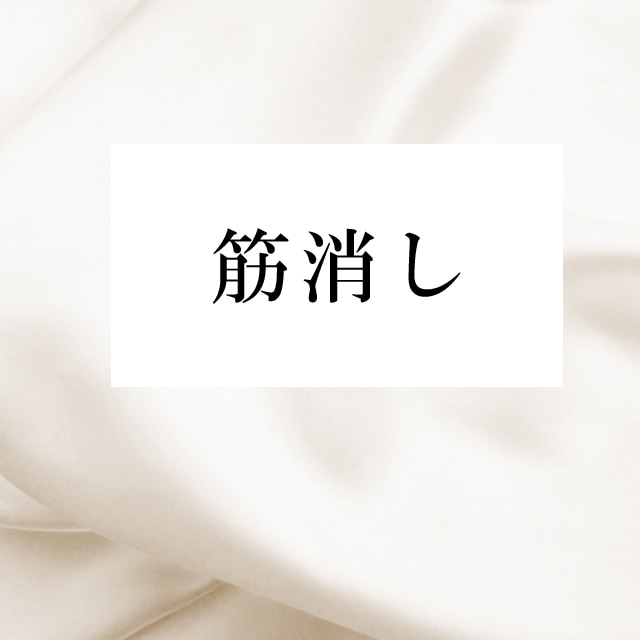 スジ消し お着物をきれいに suzikesi【仕立て】 着物 通販
