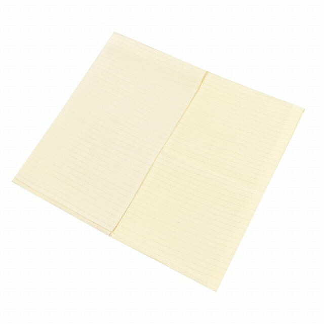 半衿 2点セット 長襦袢 正絹 夏物 無地 絽 着物 小紋 訪問着 フォーマル 未使用品 半襟 良品