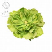 �������ܴ���SALE��20%OFF��ȱ���� ��µ ���ͼ� ´�ȼ� ��� �ֲ���� ���������� ̤������ ��ǥ����� �п��� ���ʡ����� kkb2735b ��ʪ ����