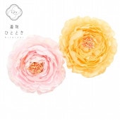 �������ܴ���SALE��20%OFF��ȱ���� ��µ ���ͼ� ´�ȼ� ��� �ֲ���� ���������� ���� ̤������ ��ǥ����� �� �ԥ� ������ ���ʡ����� kkb2744b ��ʪ ����