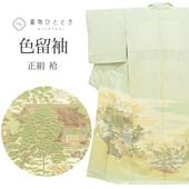 ꥵ ʪ αµ  륯 M  Ⱦ156cm  63.3cm  Ωƾ夬   uu1437b  ʪ  