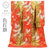 š ꥵʪ ǳ ֲǰ  66cm Ⱦ198cm LL 󥸿 ʸ ɽ  uu1890b