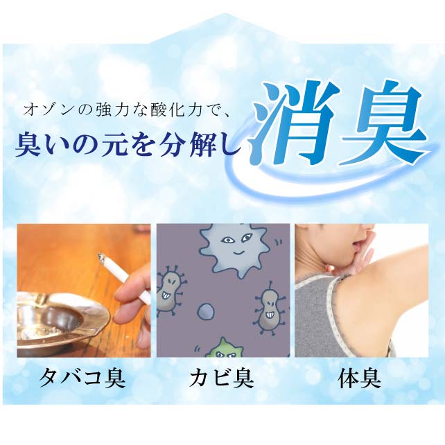 ��ʪ���꡼�˥� ��ʪ ������ ���ƥʥ� ���ؤ� �ȳ��� ���ꥸ�ʥ� ����������� sin1584 ���� �� ˬ���� ��̵�� αµ ��µ �¤� ���� ���������� �ᤤ ��S�� ��ʪ ����