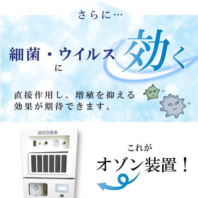 ��ʪ���꡼�˥� ��ʪ ������ ���ƥʥ� ���ؤ� �ȳ��� ���ꥸ�ʥ� ����������� sin1584 ���� �� ˬ���� ��̵�� αµ ��µ �¤� ���� ���������� �ᤤ ��S�� ��ʪ ����