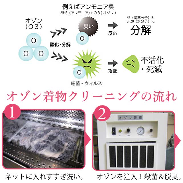 ��ʪ���꡼�˥� ��ʪ ������ ���ƥʥ� ���ؤ� �ȳ��� ���ꥸ�ʥ� ����������� sin1584 ���� �� ˬ���� ��̵�� αµ ��µ �¤� ���� ���������� �ᤤ ��S�� ��ʪ ����