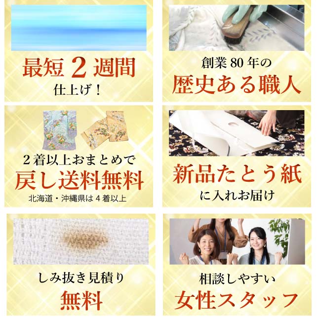 ��ʪ���꡼�˥� ��ʪ ������ ���ƥʥ� ���ؤ� �ȳ��� ���ꥸ�ʥ� ����������� sin1584 ���� �� ˬ���� ��̵�� αµ ��µ �¤� ���� ���������� �ᤤ ��S�� ��ʪ ����