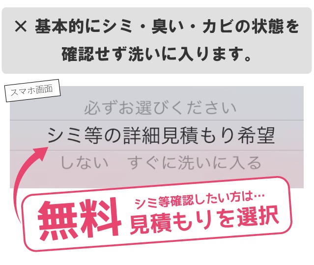 ʪ꡼˥  ʤǤ3 Ȥ߹碌ͳ ȶݤ Х  ν ʪ   ꡼˥ sin8001-shitate ʪ 