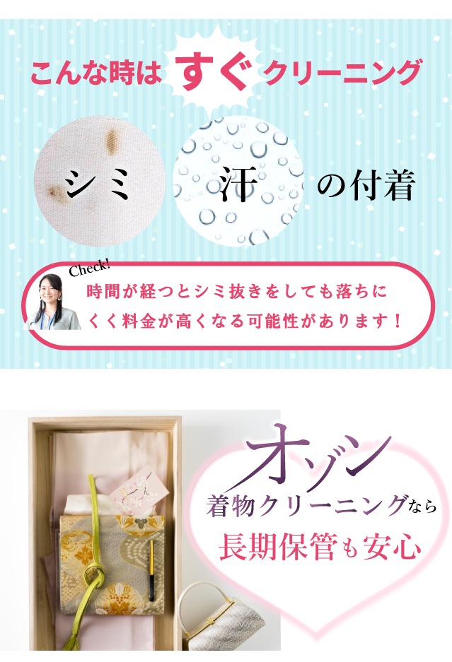 ʪ꡼˥  ʤǤ3 Ȥ߹碌ͳ ȶݤ Х  ν ʪ   ꡼˥ sin8001-shitate ʪ 